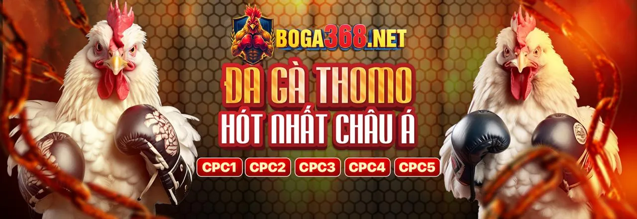 Các tính năng nổi bật của niw88 app